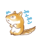 ふっくらシマリス（個別スタンプ：8）