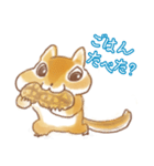 ふっくらシマリス（個別スタンプ：16）