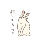 おかしなねこたち2（個別スタンプ：23）