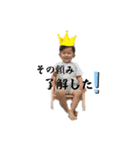 あおたんたんめん③（個別スタンプ：2）