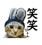 ネコのスタンプ【まる＆ちぃちゃん】（個別スタンプ：33）