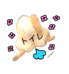 白柴犬2022（個別スタンプ：7）