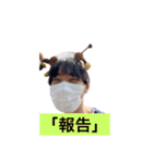 業務短縮スタンプ（個別スタンプ：12）