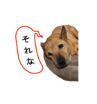 チロル vol.1（個別スタンプ：6）