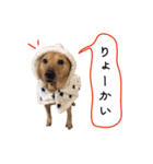 チロル vol.1（個別スタンプ：8）