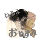 ノエルのスタンプ 2022（個別スタンプ：4）