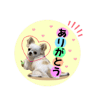 マウたんスタンプ（個別スタンプ：2）