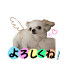 マウたんスタンプ（個別スタンプ：3）