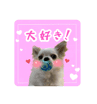 マウたんスタンプ（個別スタンプ：6）