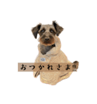 365日使えるStamp！@with_corona（個別スタンプ：3）