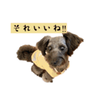 365日使えるStamp！@with_corona（個別スタンプ：10）