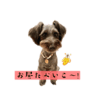 365日使えるStamp！@with_corona（個別スタンプ：14）