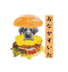 365日使えるStamp！@with_corona（個別スタンプ：15）