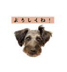 365日使えるStamp！@with_corona（個別スタンプ：18）