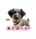 365日使えるStamp！@with_corona（個別スタンプ：27）