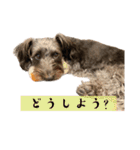 365日使えるStamp！@with_corona（個別スタンプ：29）