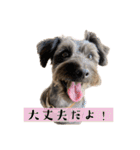 365日使えるStamp！@with_corona（個別スタンプ：31）