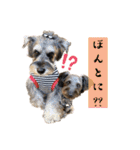 365日使えるStamp！@with_corona（個別スタンプ：32）