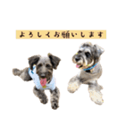 365日使えるStamp！@with_corona（個別スタンプ：35）