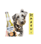 365日使えるStamp！@with_corona（個別スタンプ：36）