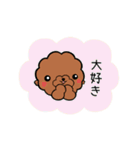 犬（トイプ）家族スタンプ（個別スタンプ：23）