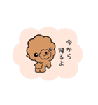 犬（トイプ）家族スタンプ（個別スタンプ：31）