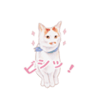 しっぽなねこず ＊reviced＊（個別スタンプ：6）