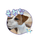 ジャックのベルちゃんの日常すたんぷ（個別スタンプ：10）