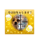 ジャックのベルちゃんの日常すたんぷ（個別スタンプ：17）