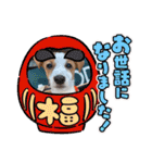 ジャックのベルちゃんの日常すたんぷ（個別スタンプ：30）