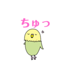 セキセイインコのアルとテン3（個別スタンプ：4）