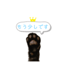 白桃猫猫 5（個別スタンプ：9）