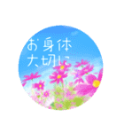 お花いっぱいstamp（個別スタンプ：7）