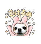 チワワノアリス №001（個別スタンプ：1）