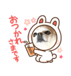 チワワノアリス №001（個別スタンプ：3）