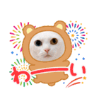 kuuタンご挨拶スタンプ（個別スタンプ：16）