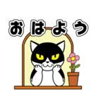 うちの子ハチワレねこ4 文字大見やすい（個別スタンプ：1）