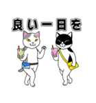 うちの子ハチワレねこ4 文字大見やすい（個別スタンプ：4）