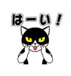 うちの子ハチワレねこ4 文字大見やすい（個別スタンプ：12）