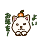 白柴犬ちびキャラ 冬絵 スタンプ（個別スタンプ：32）