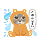 マンチカン子猫3(冬)（個別スタンプ：39）