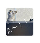 うちのねこ スタンプ3 -KAI-海（個別スタンプ：18）