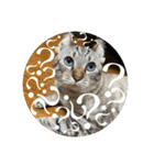 うちのねこ スタンプ3 -KAI-海（個別スタンプ：19）