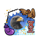 あにまるふれんずー（個別スタンプ：1）