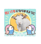 あにまるふれんずー（個別スタンプ：3）