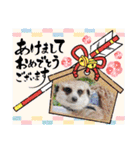 あにまるふれんずー（個別スタンプ：4）
