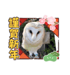 あにまるふれんずー（個別スタンプ：7）