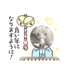 あにまるふれんずー（個別スタンプ：8）