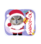あにまるふれんずー（個別スタンプ：11）