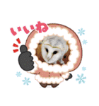 あにまるふれんずー（個別スタンプ：13）